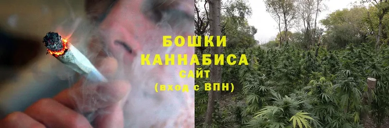 Бошки марихуана LSD WEED  блэк спрут ссылки  Тайга  наркотики 